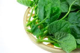 Green Alugbati Smoothie